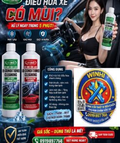 Dung Dịch Vệ Sinh Điều Hòa Ô Tô Cao Cấp